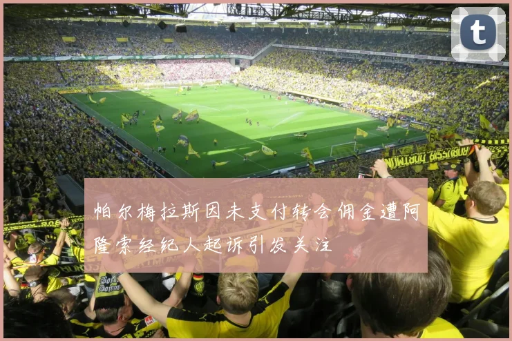 帕尔梅拉斯因未支付转会佣金遭阿隆索经纪人起诉引发关注